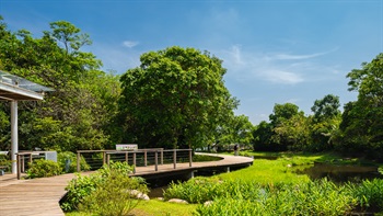 The Stream Walk leads through the forested land and introduces the characteristics of different ecosystems of the stream.